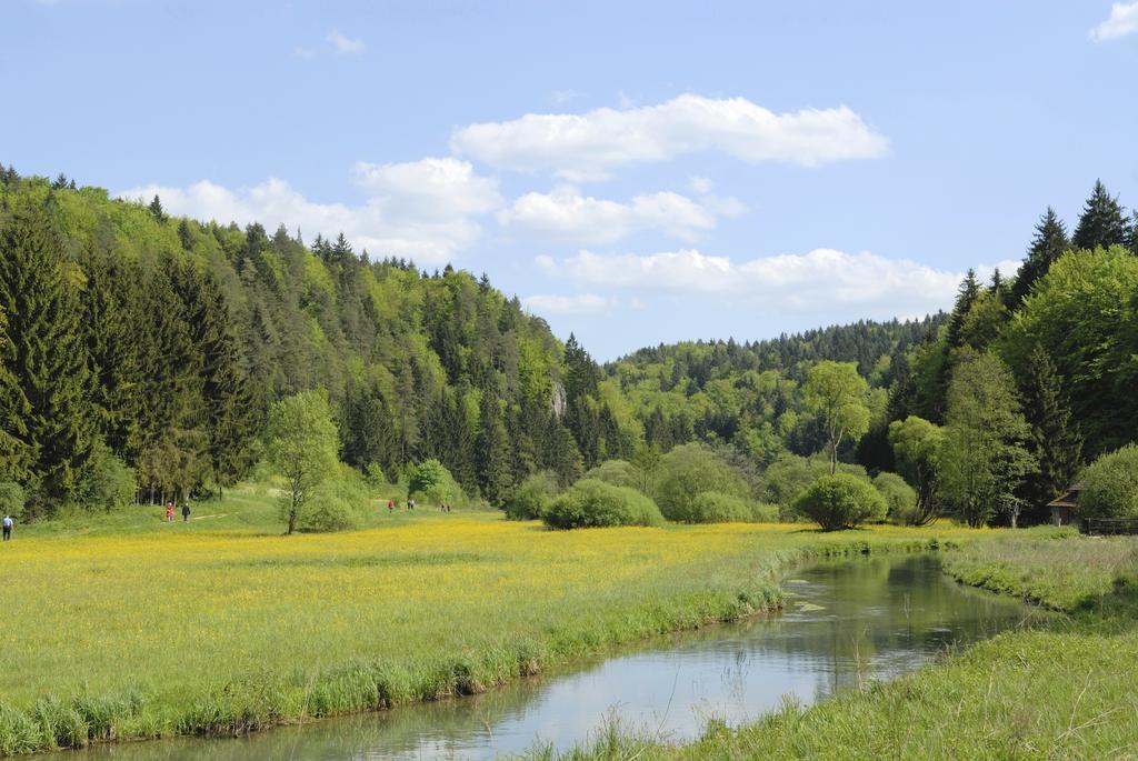 Chalet Am Bach Бад Бирнбах Стая снимка